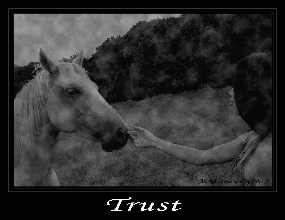 Trust