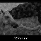 Trust