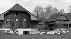 Trutenhof in Oeschberg