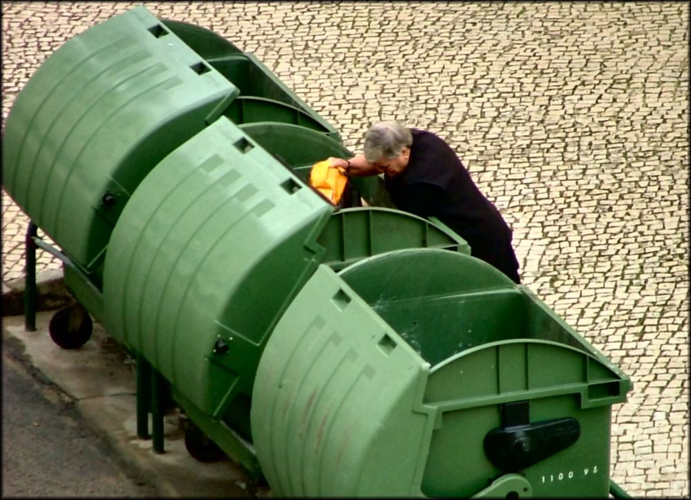 Trying to survive with the garbage