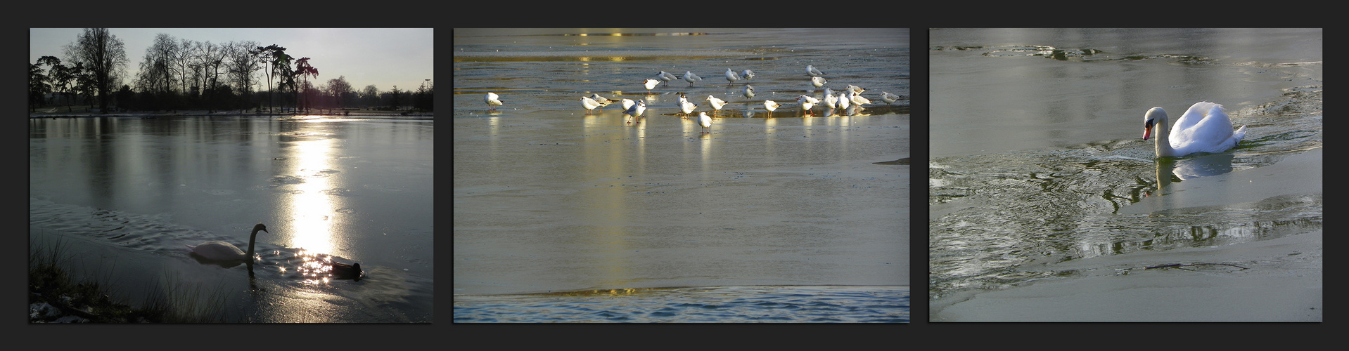 Tryptique sur glace