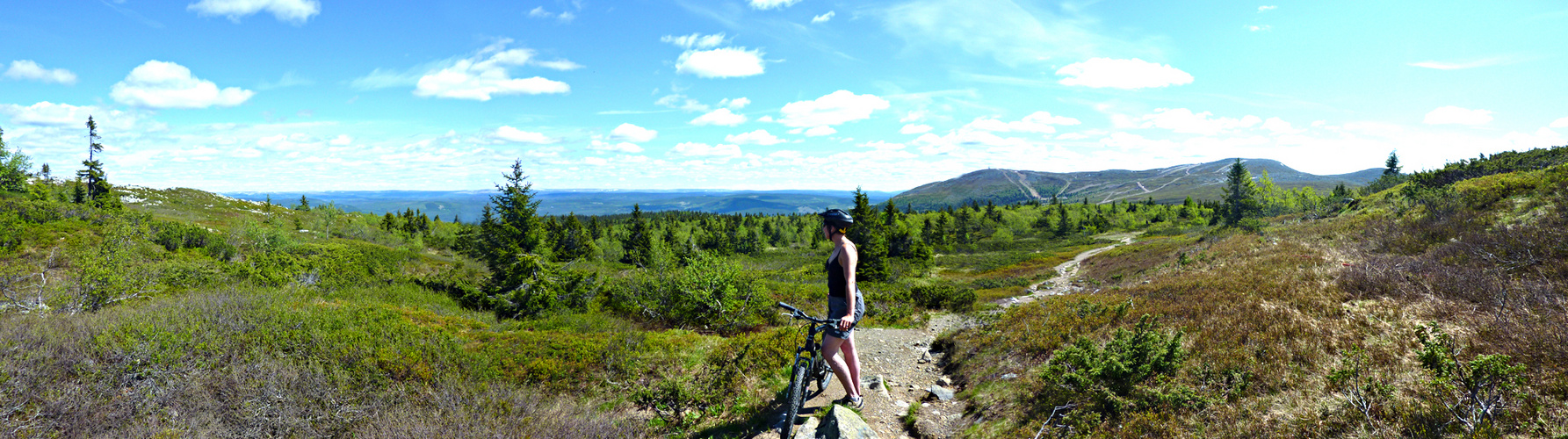 Trysilfjellet