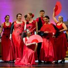 TS Aire Flamenco - Flamenco Show (1)