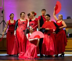 TS Aire Flamenco - Flamenco Show (1)