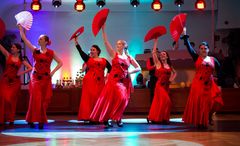 TS Aire Flamenco - Flamenco Show (2)