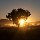 Tsauchab River Camp - Sonnenaufgang