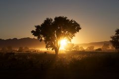 Tsauchab River Camp - Sonnenaufgang