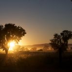 Tsauchab River Camp - Sonnenaufgang 2