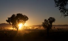 Tsauchab River Camp - Sonnenaufgang 2