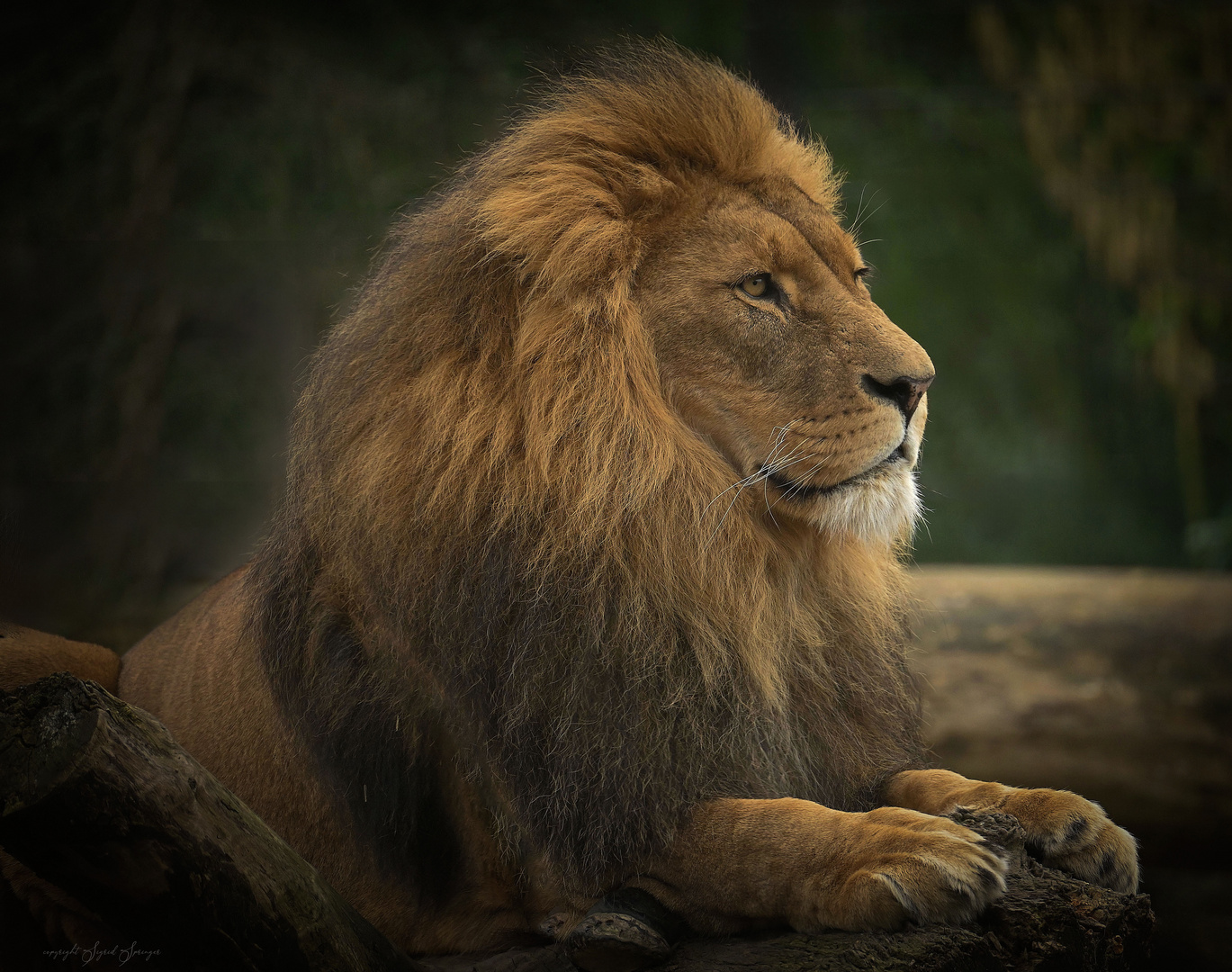 Tsavo