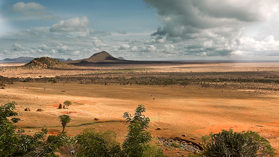 Tsavo East