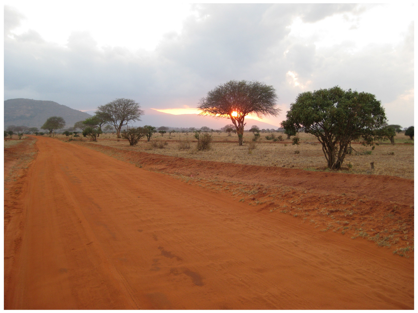 Tsavo East