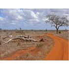 Tsavo East Landscape