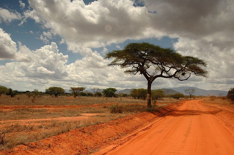 Tsavo East National Park