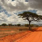 Tsavo East National Park