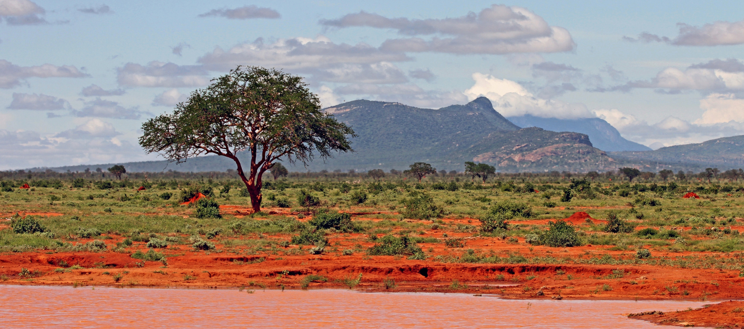 tsavo kenia