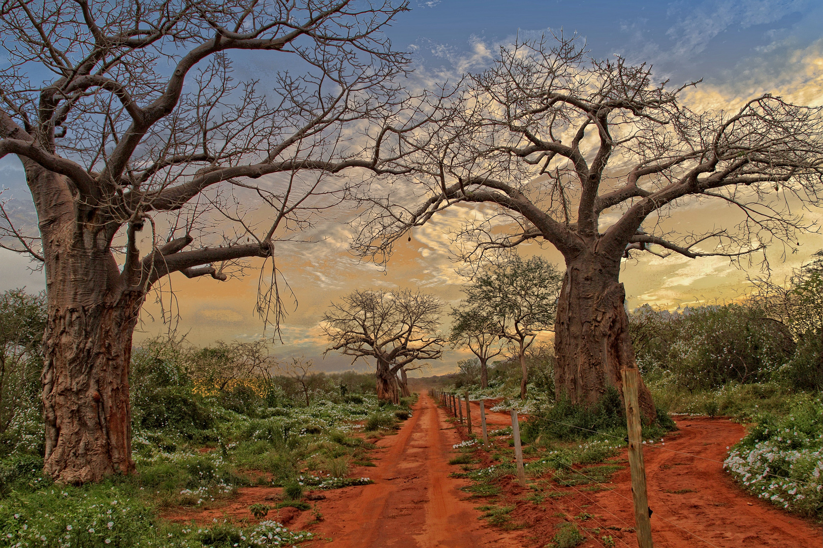 Tsavo Nationalpark