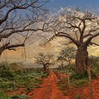 Tsavo Nationalpark