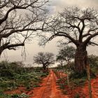 Tsavo NP Landschaft