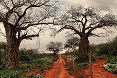 Tsavo NP Landschaft