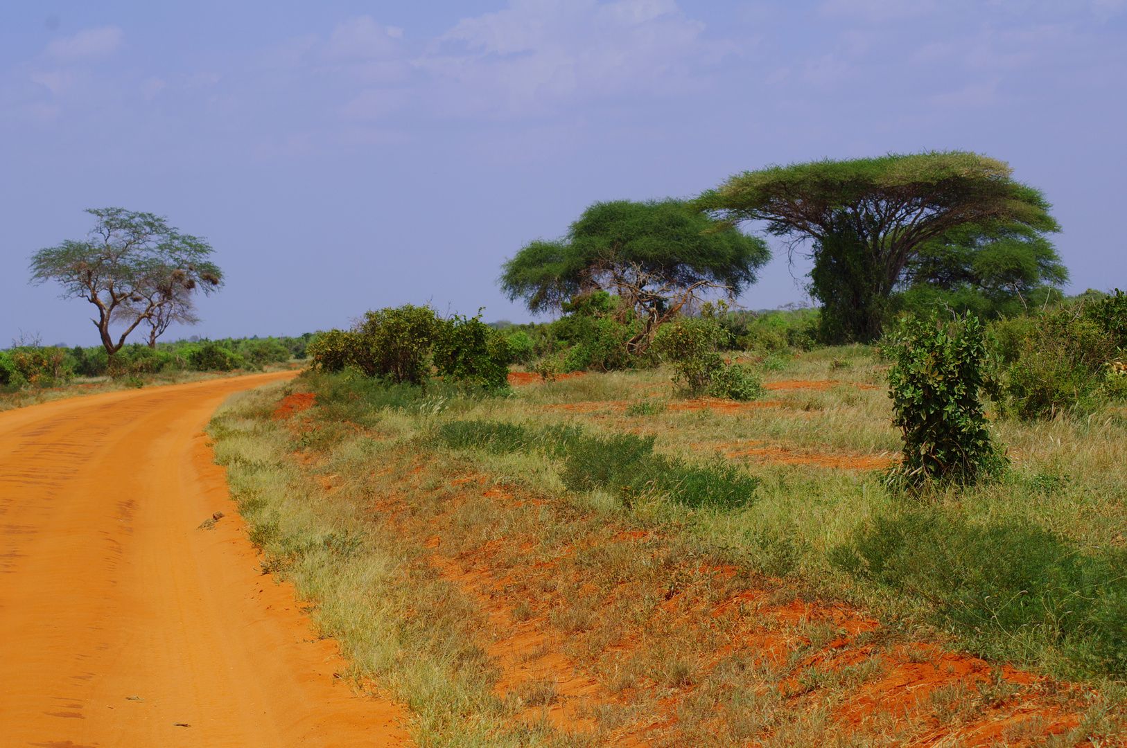 Tsavo Ost, Kenia