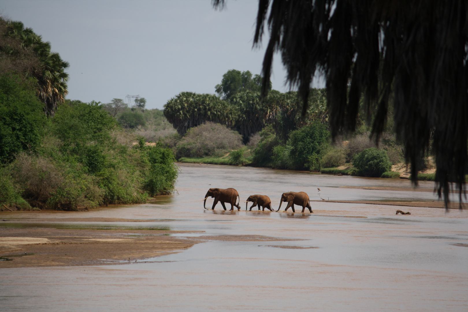 Tsavo Ost Kenya - Galana River
