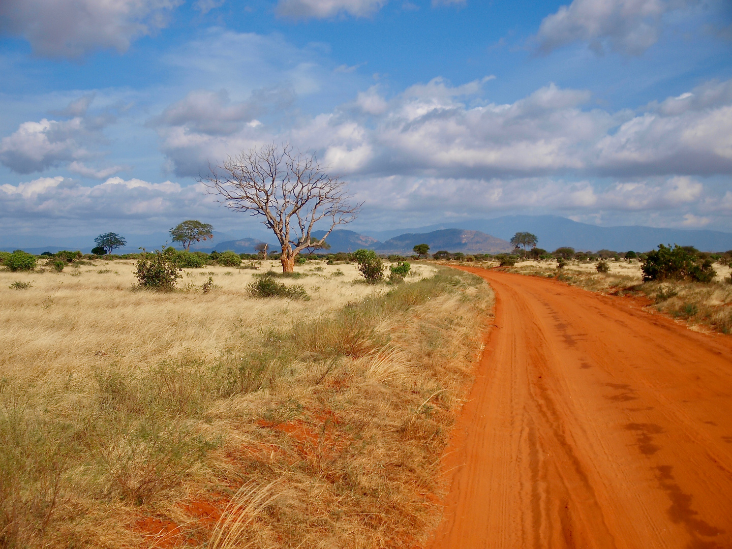 Tsavo Ost National Park