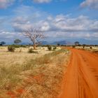 Tsavo Ost National Park