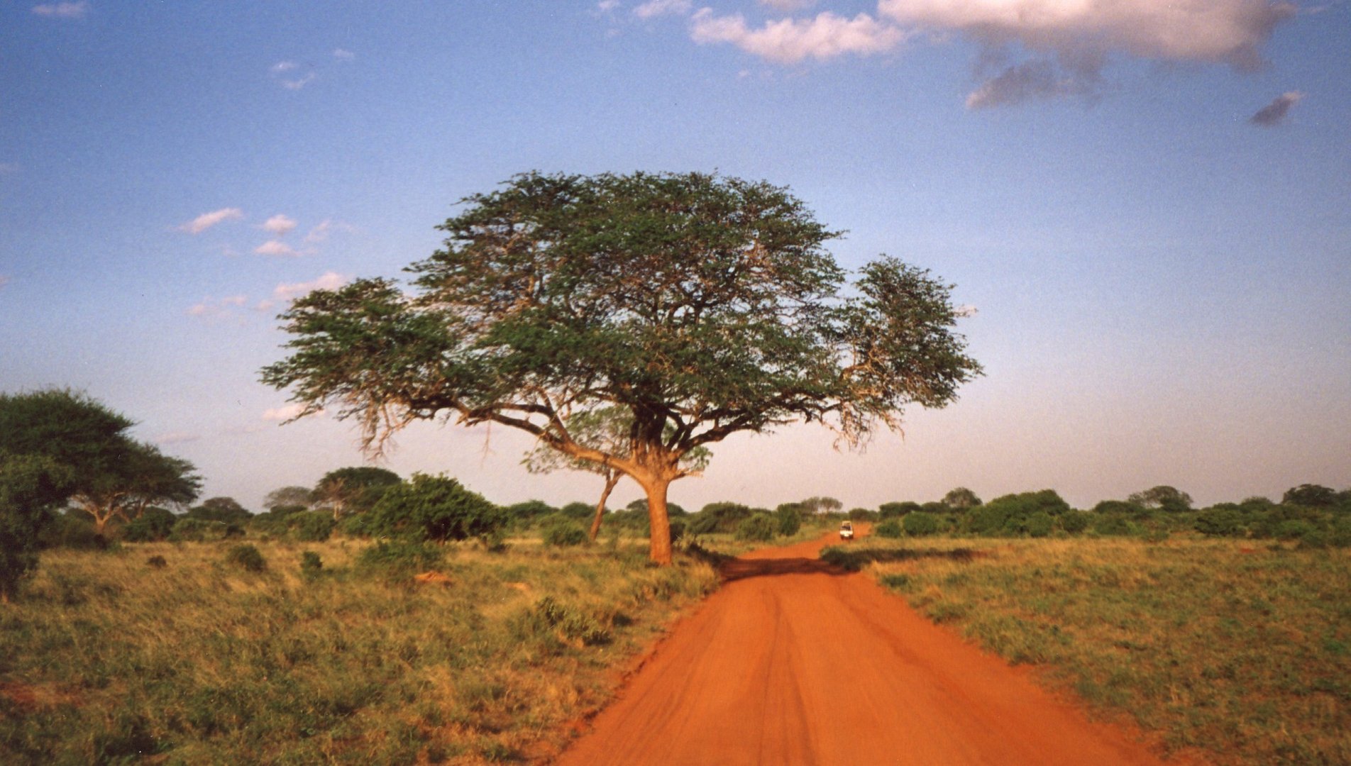 Tsavo Ost Nationalopark