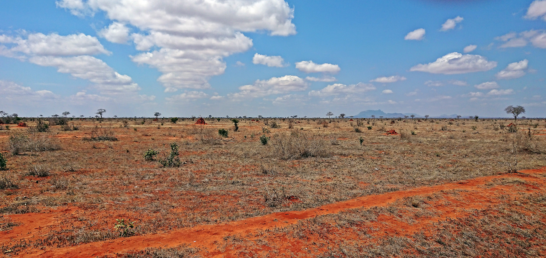 Tsavo Ost Nationalpark 