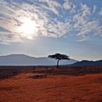 Tsavo Ost Nationalpark 