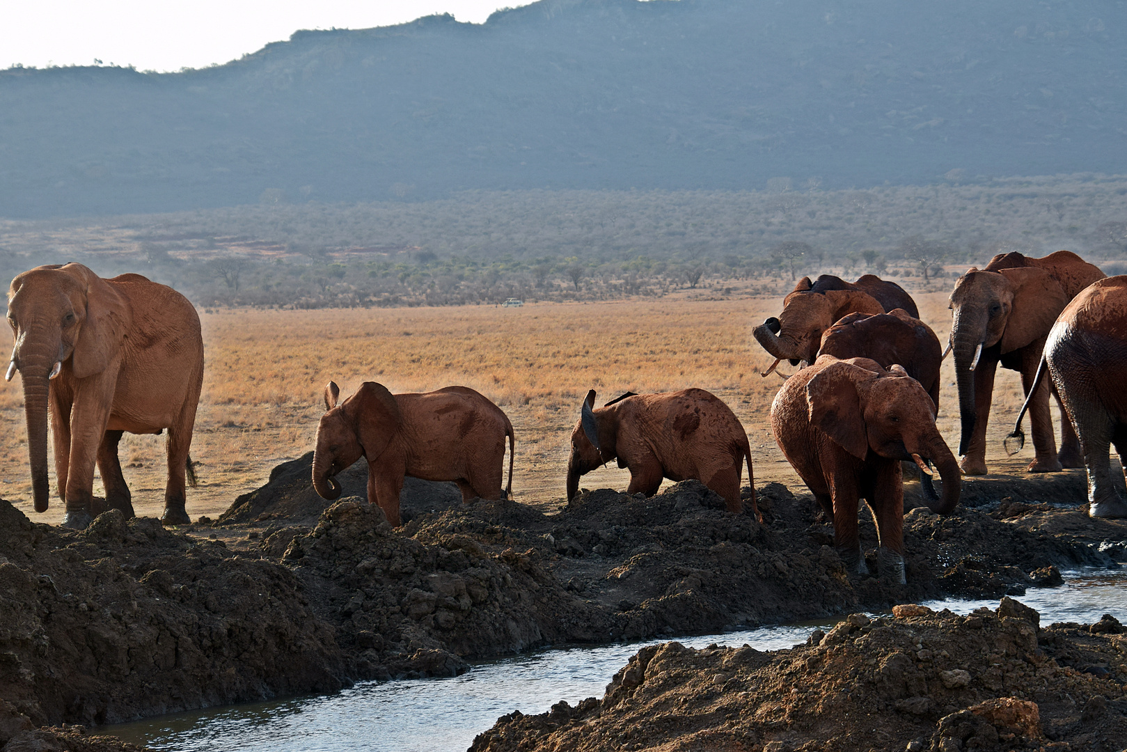 Tsavo Ost Nationalpark 