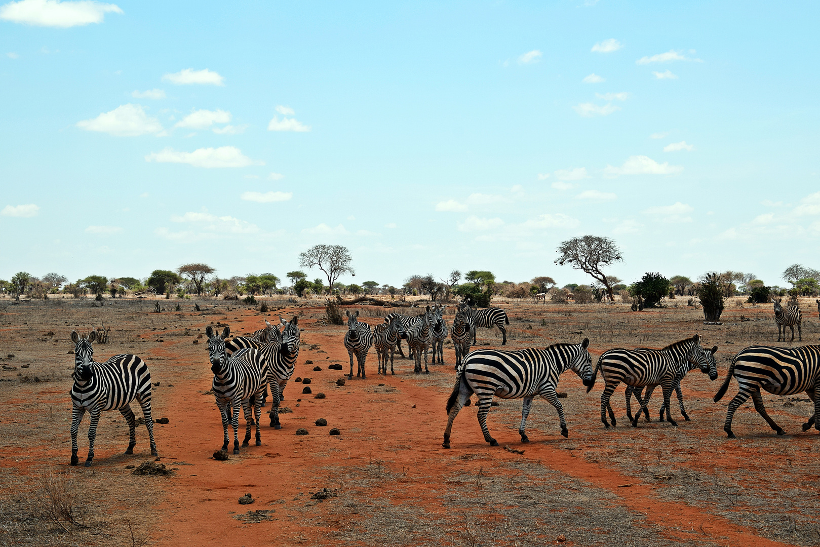 Tsavo Ost Nationalpark 