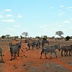 Tsavo Ost Nationalpark 