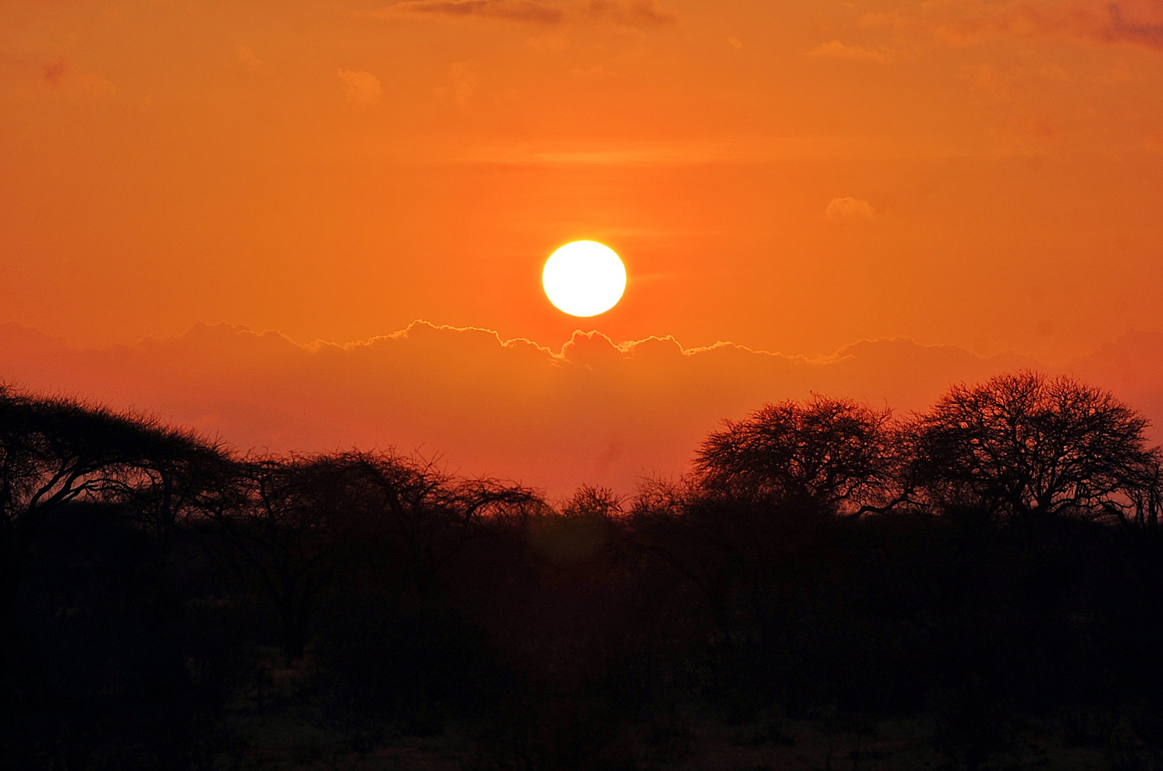 Tsavo Ost Nationalpark 