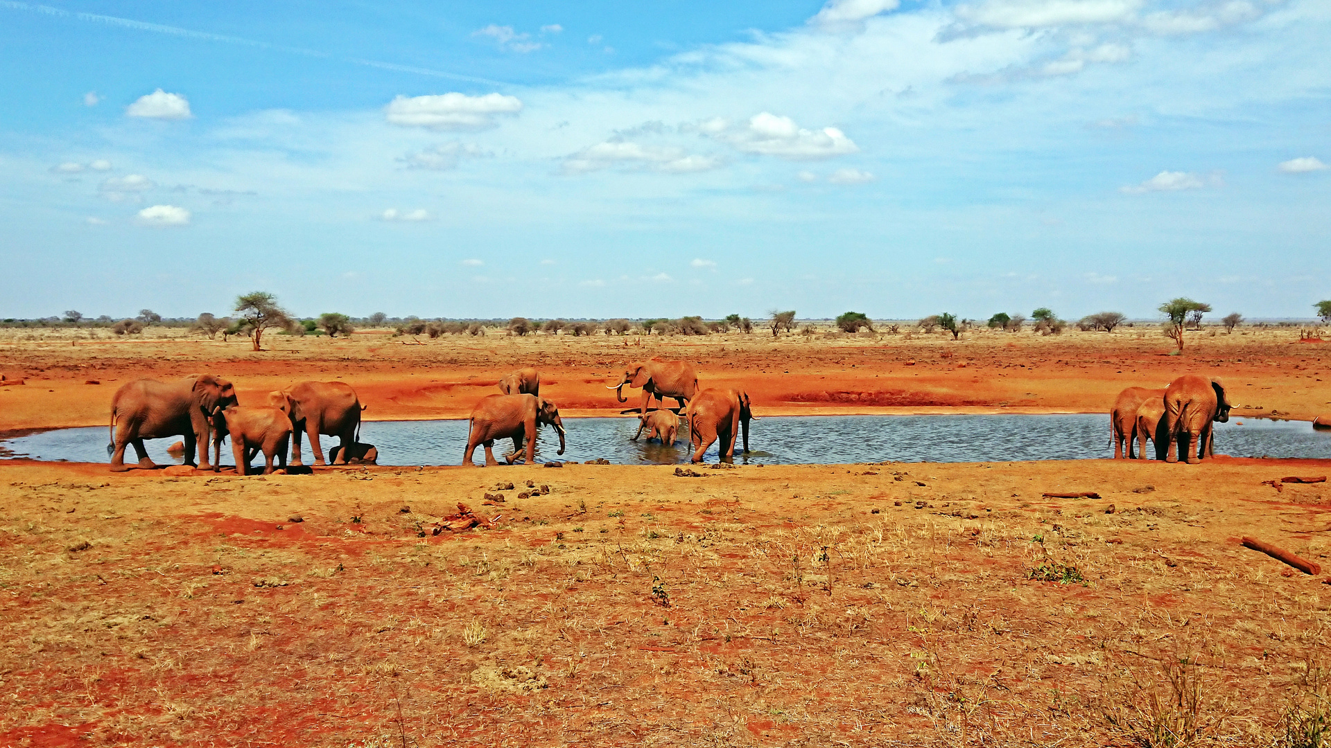 Tsavo Ost Nationalpark 