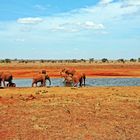 Tsavo Ost Nationalpark 