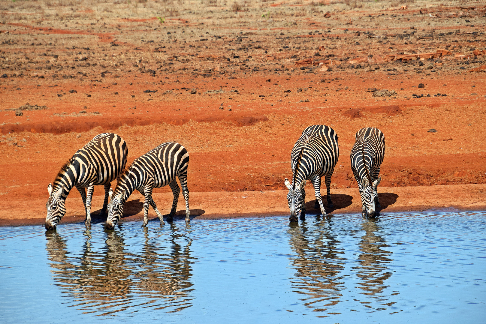 Tsavo Ost Nationalpark 