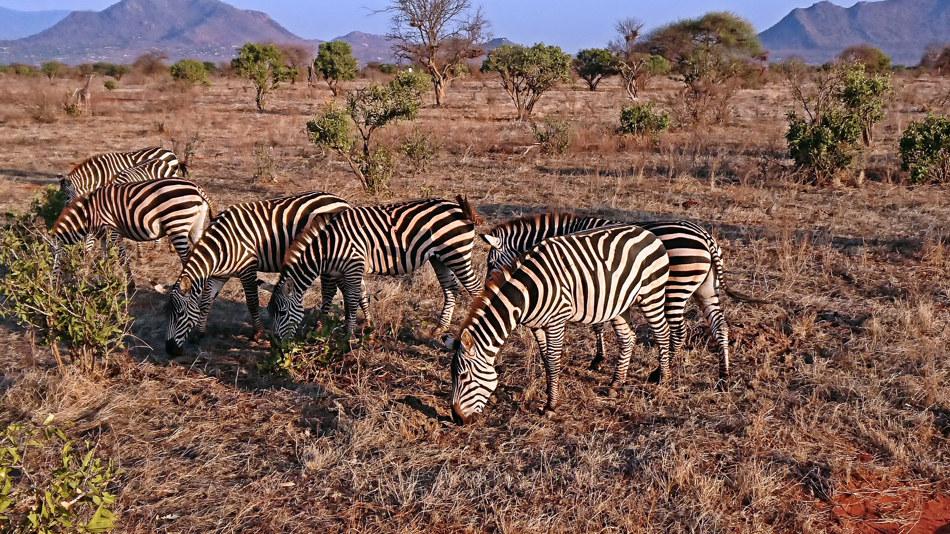 Tsavo Ost Nationalpark 