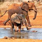 Tsavo Ost Nationalpark 