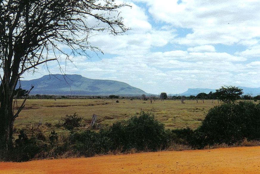 Tsavo-Park