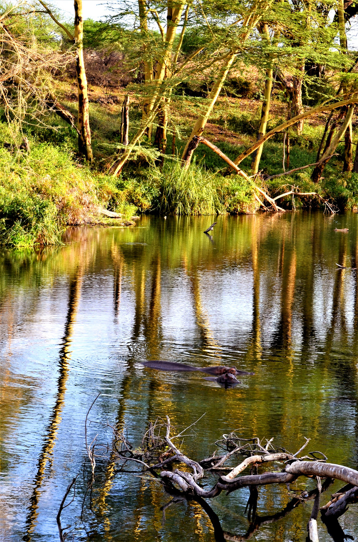 Tsavo River