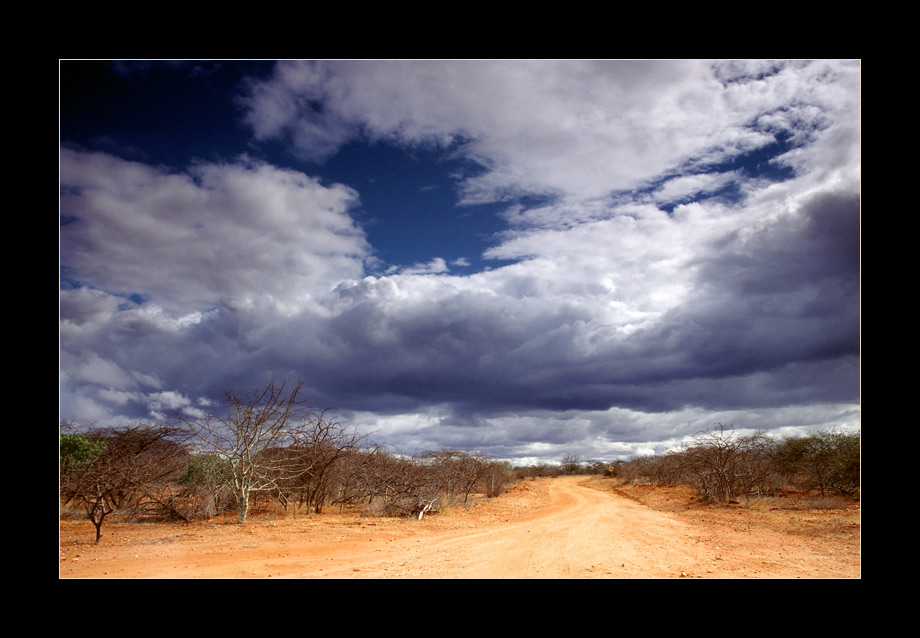 Tsavo - the way to safari