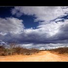 Tsavo - the way to safari