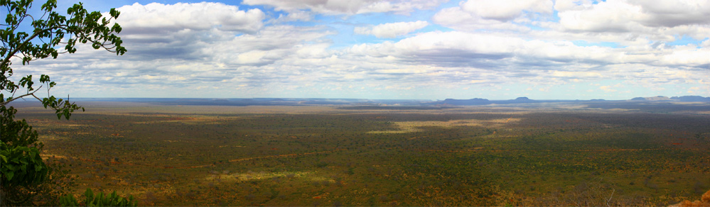 Tsavo West 160° Panorama