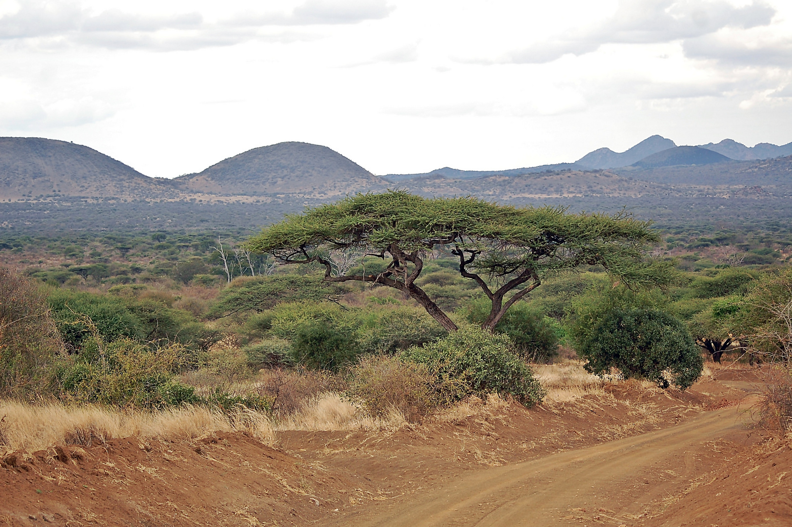 Tsavo West