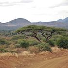 Tsavo West