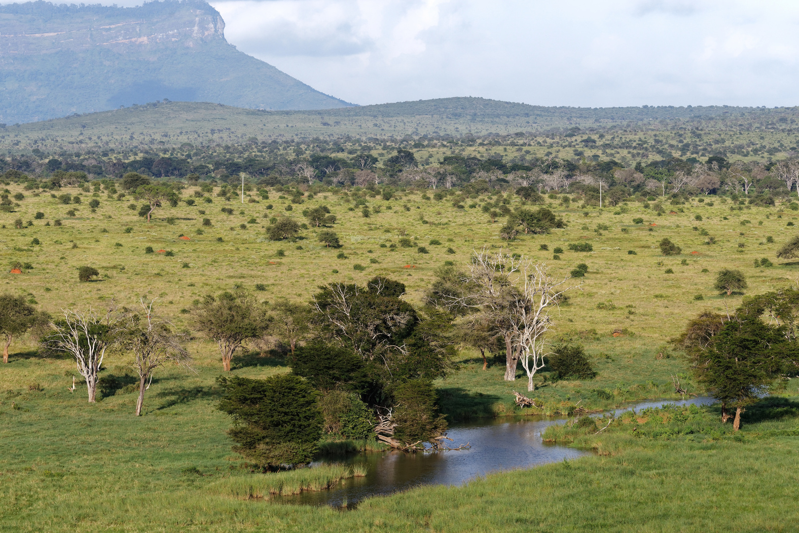 Tsavo West