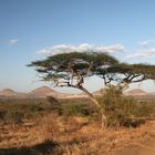 Tsavo West