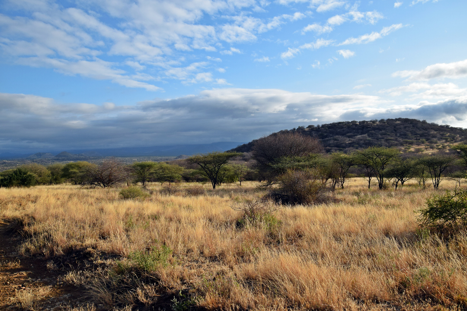 Tsavo West